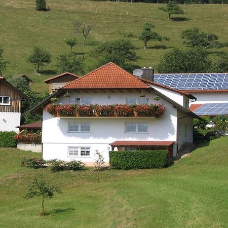 זילבך Ferienwohnung Burgblick מראה חיצוני תמונה