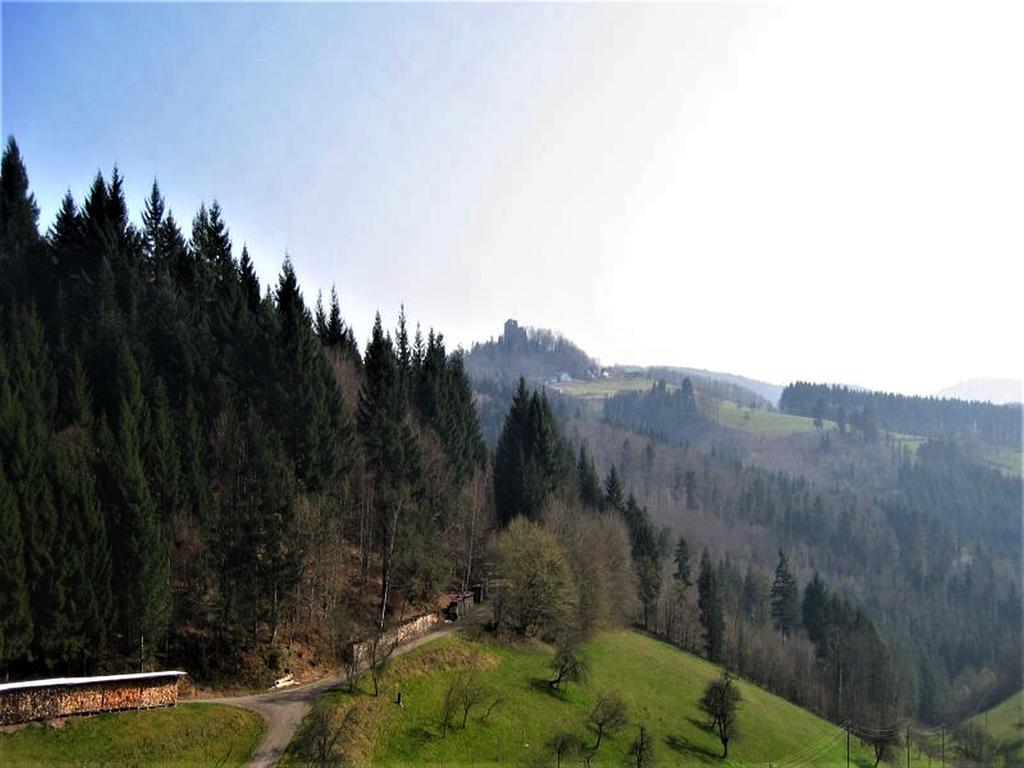 זילבך Ferienwohnung Burgblick מראה חיצוני תמונה